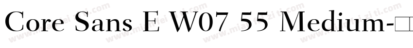 Core Sans E W07 55 Medium字体转换